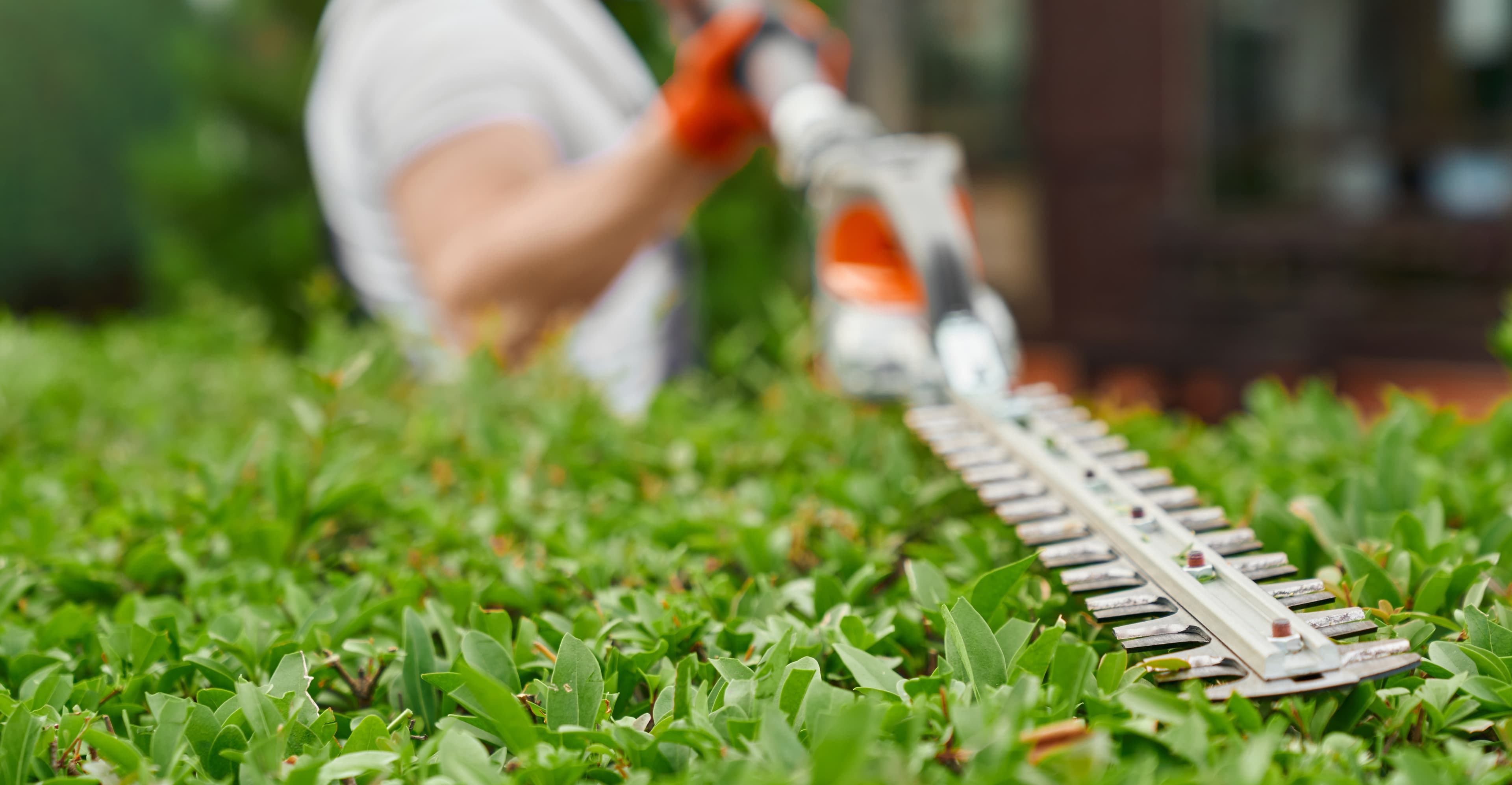 Gardening and landscaping workers in uniform on site with tools and wheelbarrow